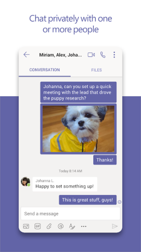 Microsoft Teams 1