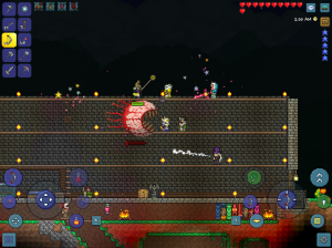 Terraria 11