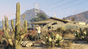 Grand Theft Auto V 73